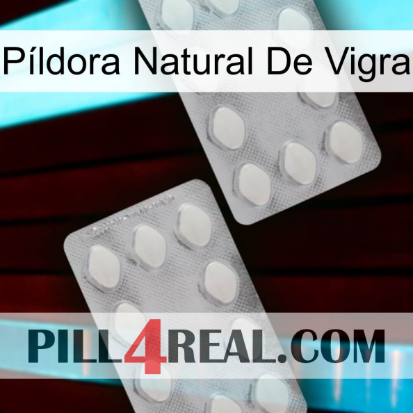 Píldora Natural De Vigra 17.jpg